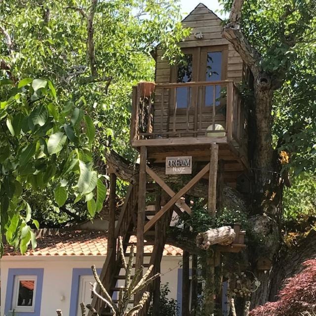 Casa Oliva - Casa Da Serra Porto de Mós Buitenkant foto